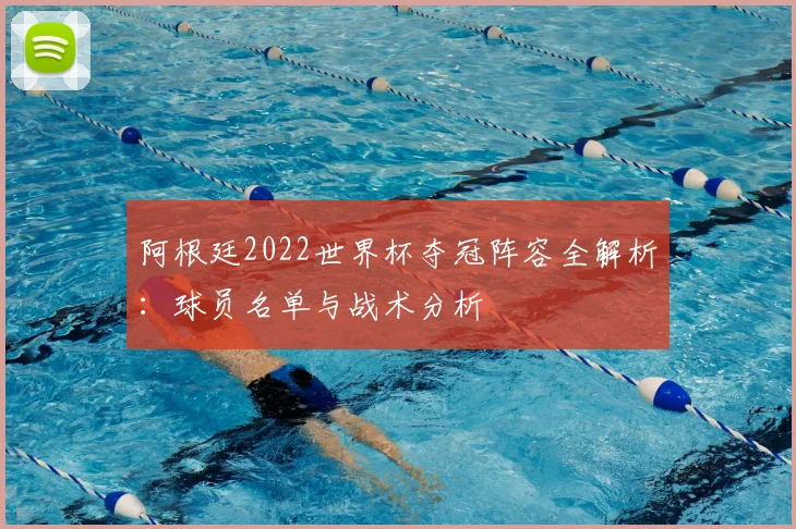阿根廷2022世界杯夺冠阵容全解析：球员名单与战术分析